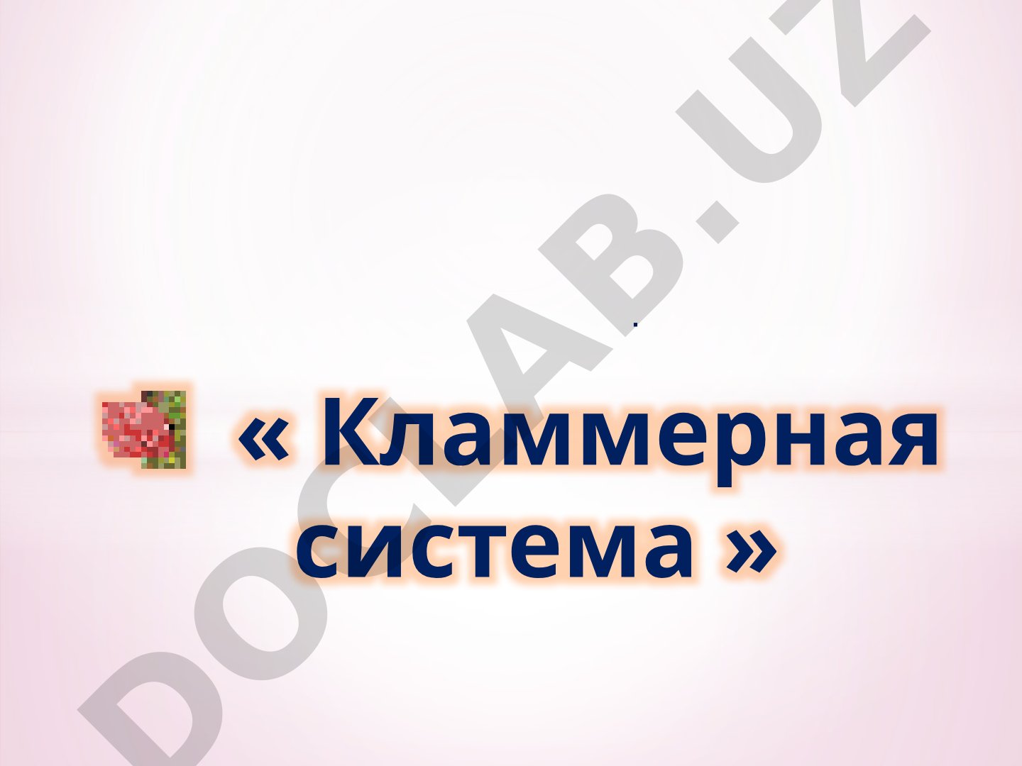 Кламмерная система