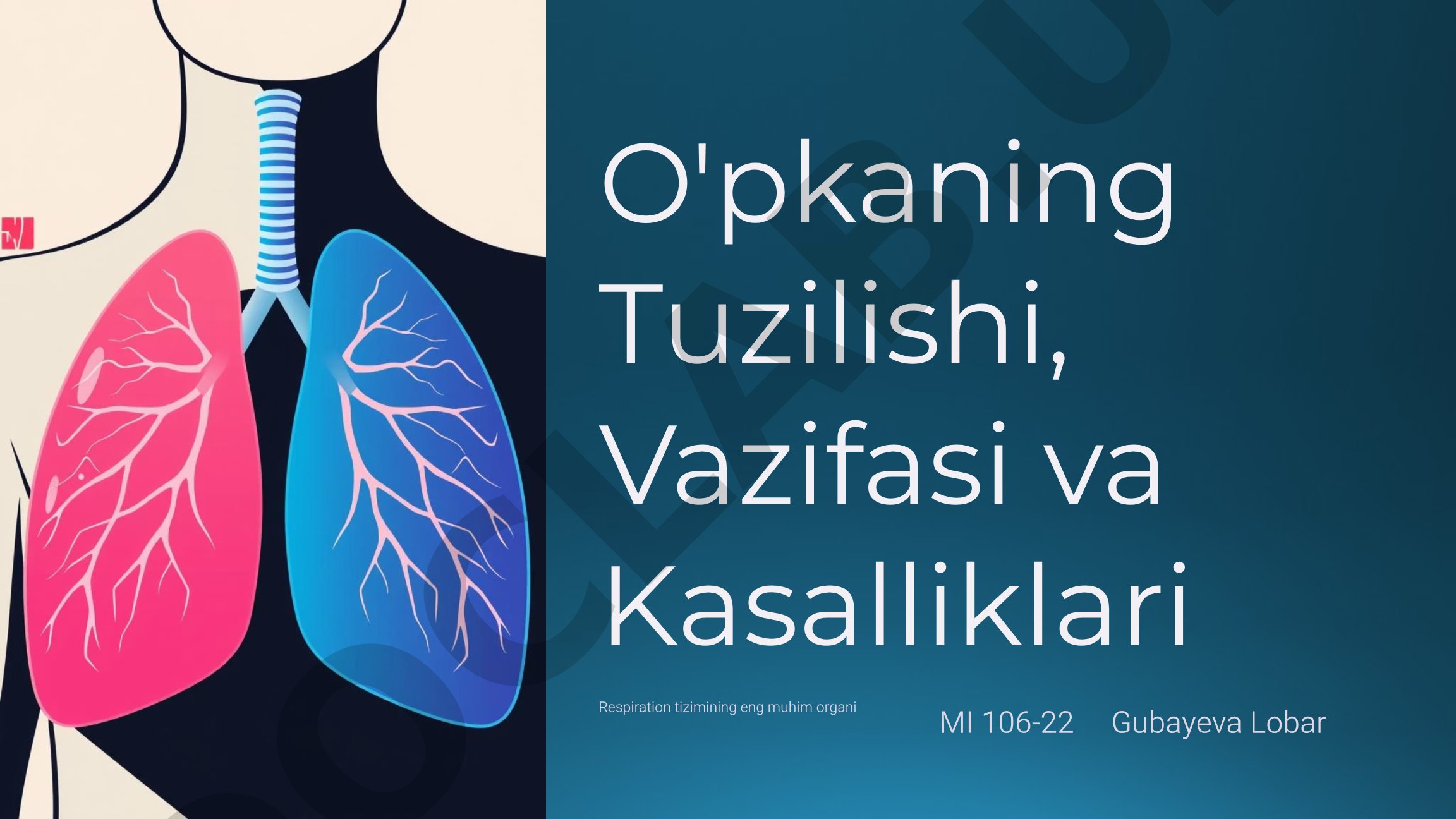 O'pkaning Tuzilishi, Vazifasi va Kasalliklari