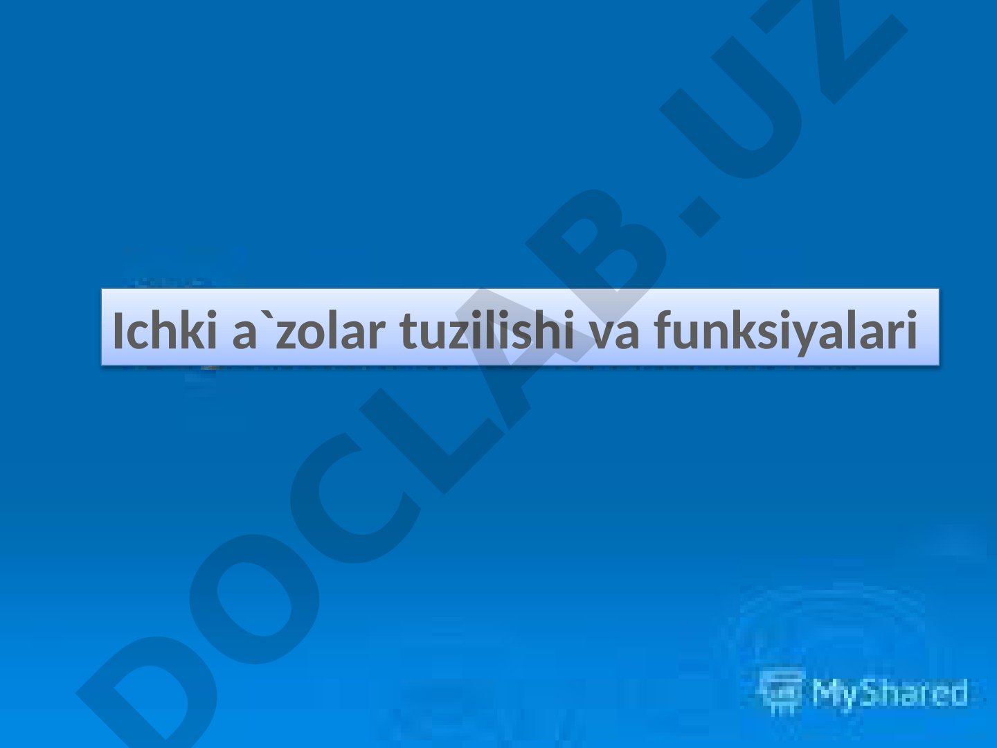 Ichki a`zolar tuzilishi va funksiyalari