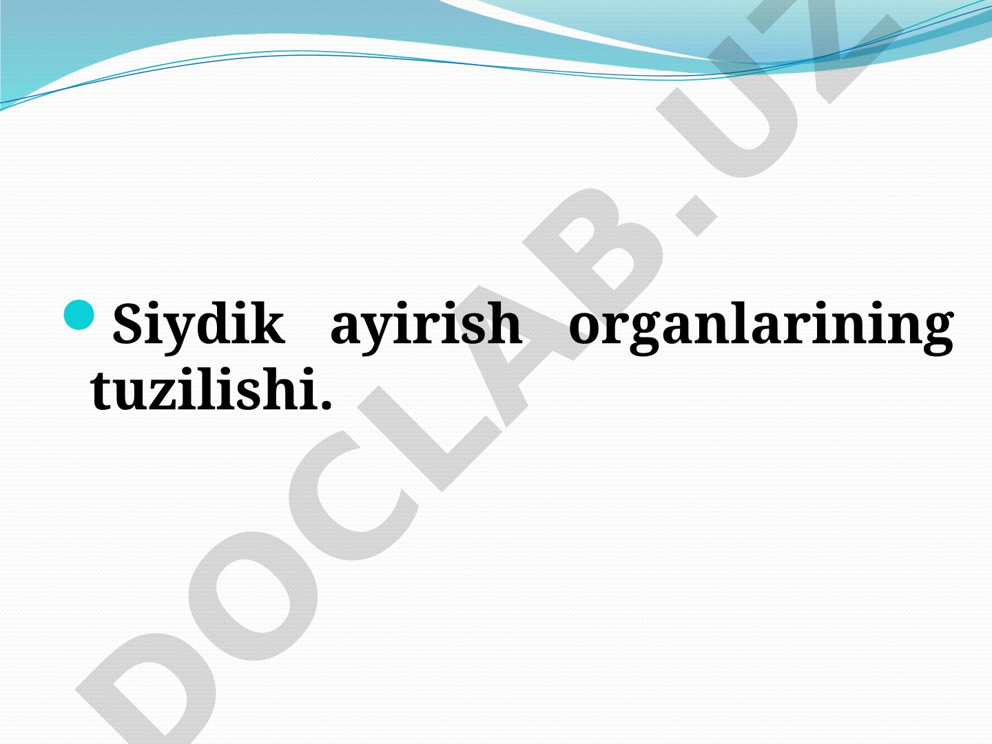 Siydik ayirish organlarining tuzilishi
