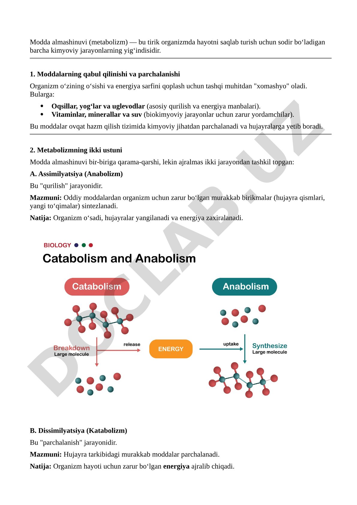Modda almashinuvi (metabolizm) jarayonlari