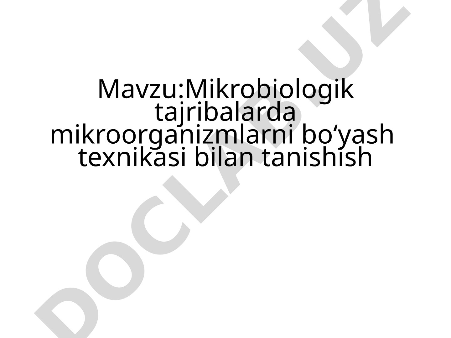 Mikrobiologik tajribalarda mikroorganizmlarni bo‘yash texnikasi bilan tanishish