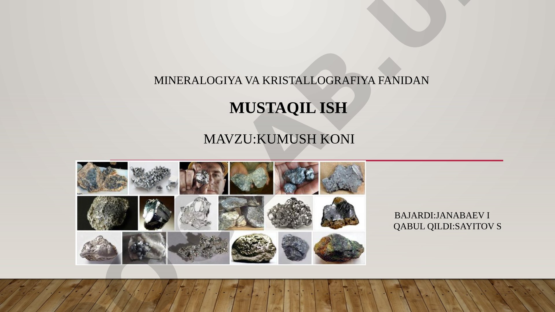 Kumush koni