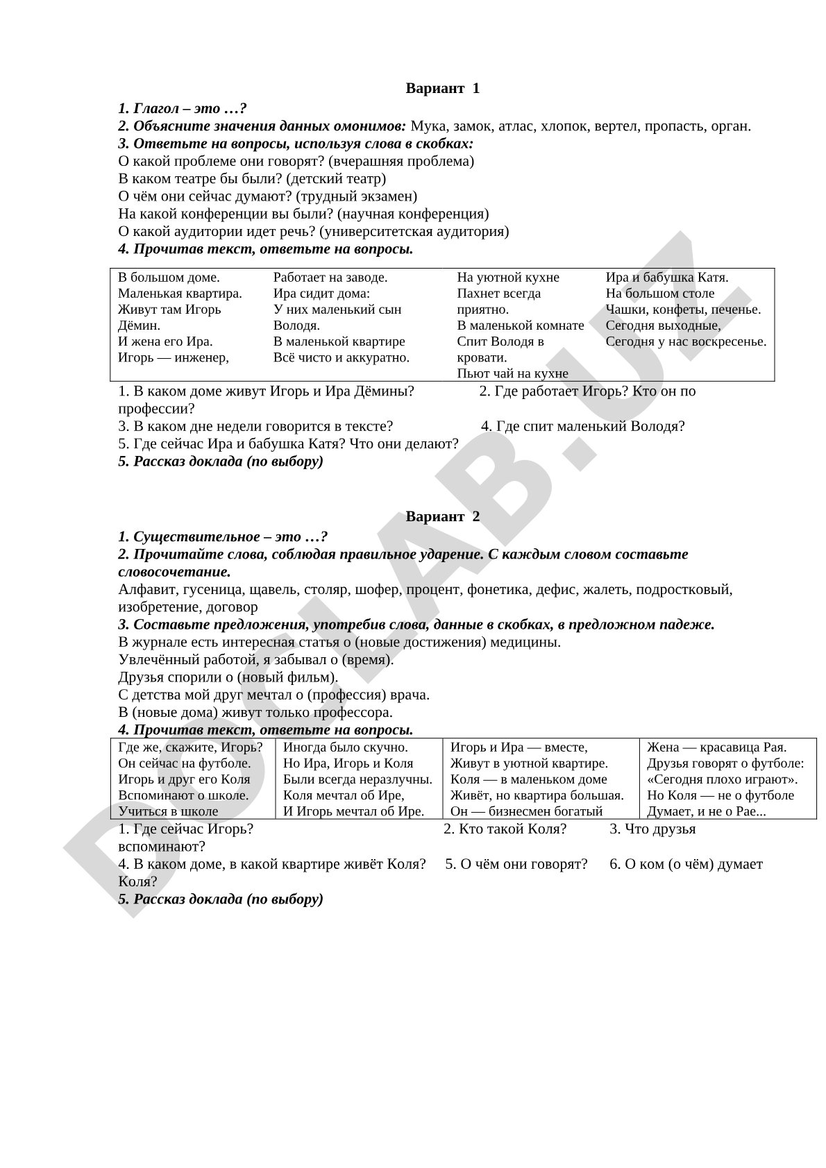 Вариант 1. Глагол и существительное. Омонимы. Текст "В большом доме"
