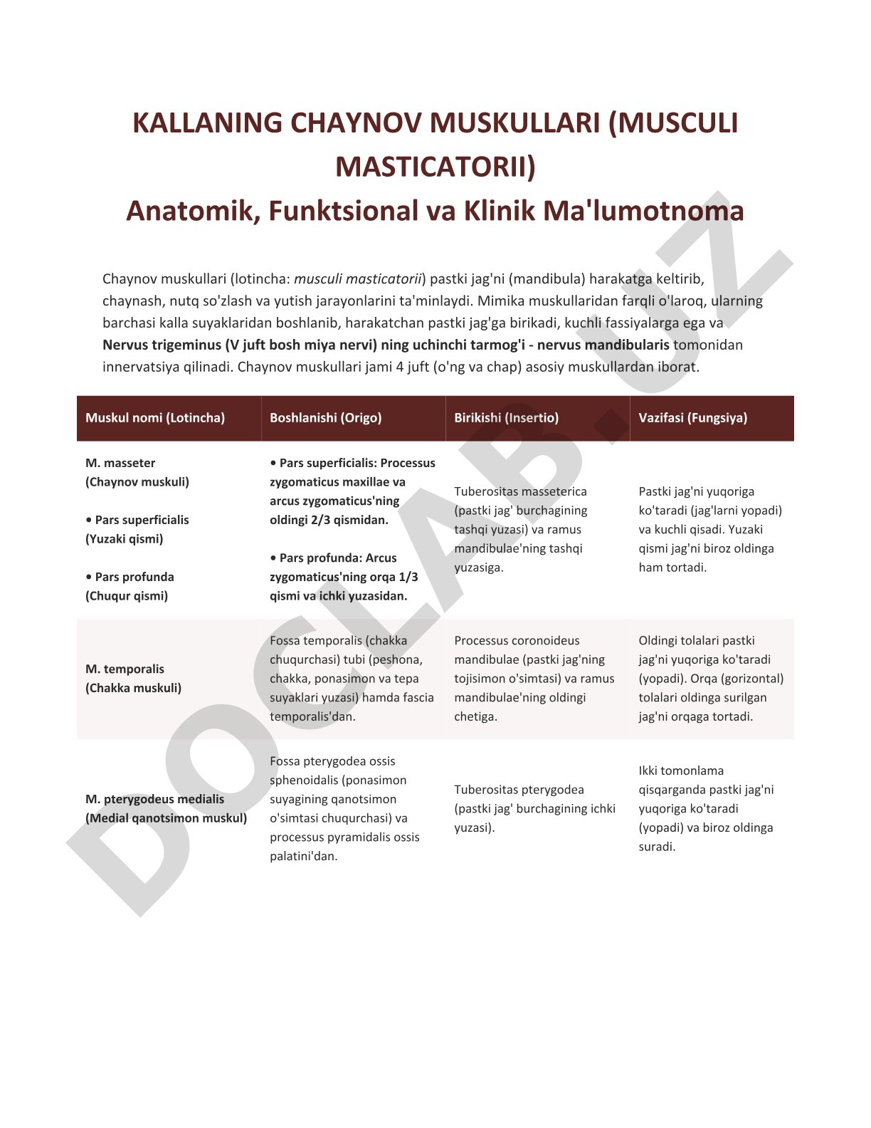 Kallaning chaynov muskullari (musculi masticatorii)