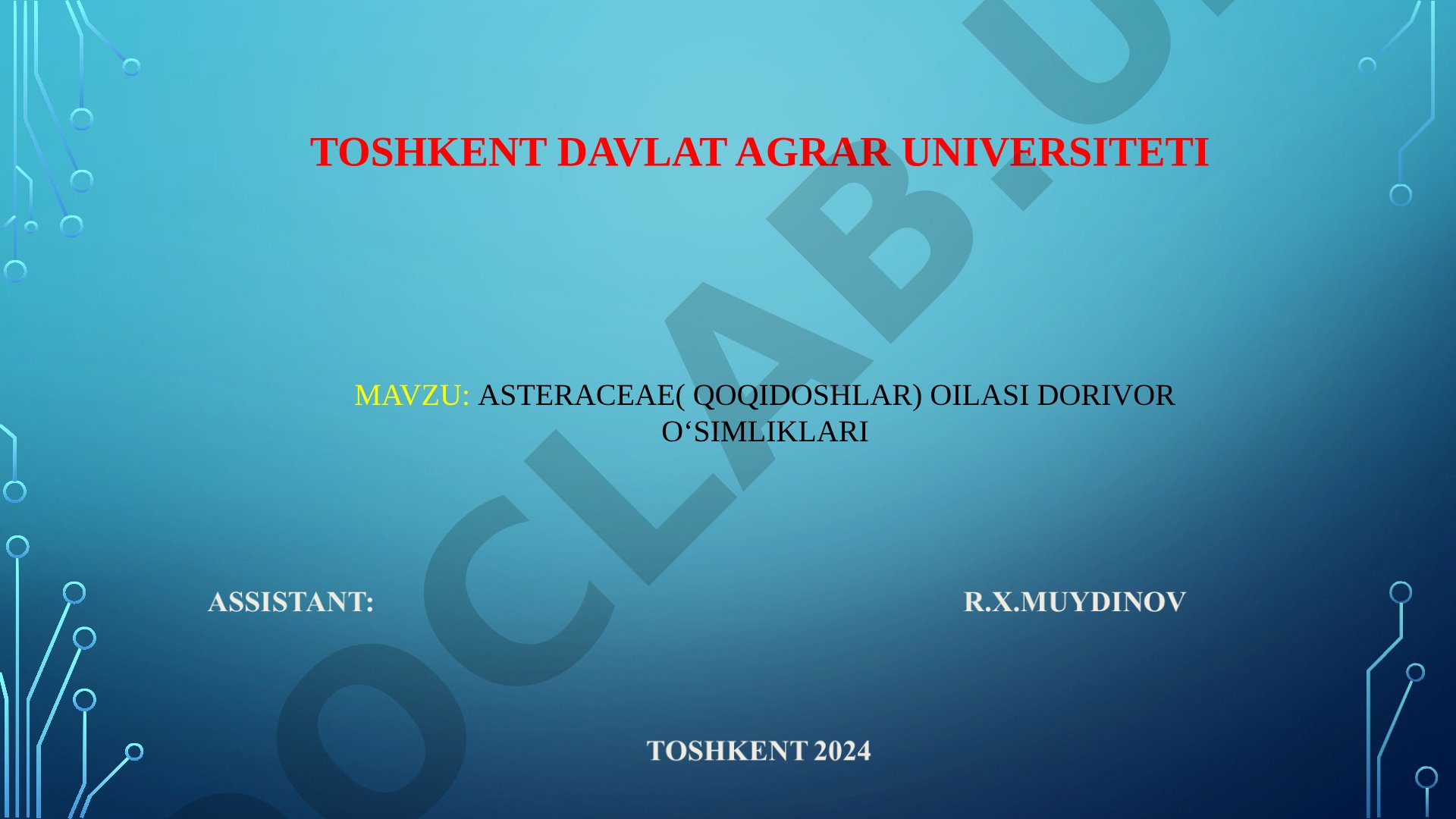 ASTERACEAE (QOQIDOSHLAR) OILASI DORIVOR O‘SIMLIKLARI