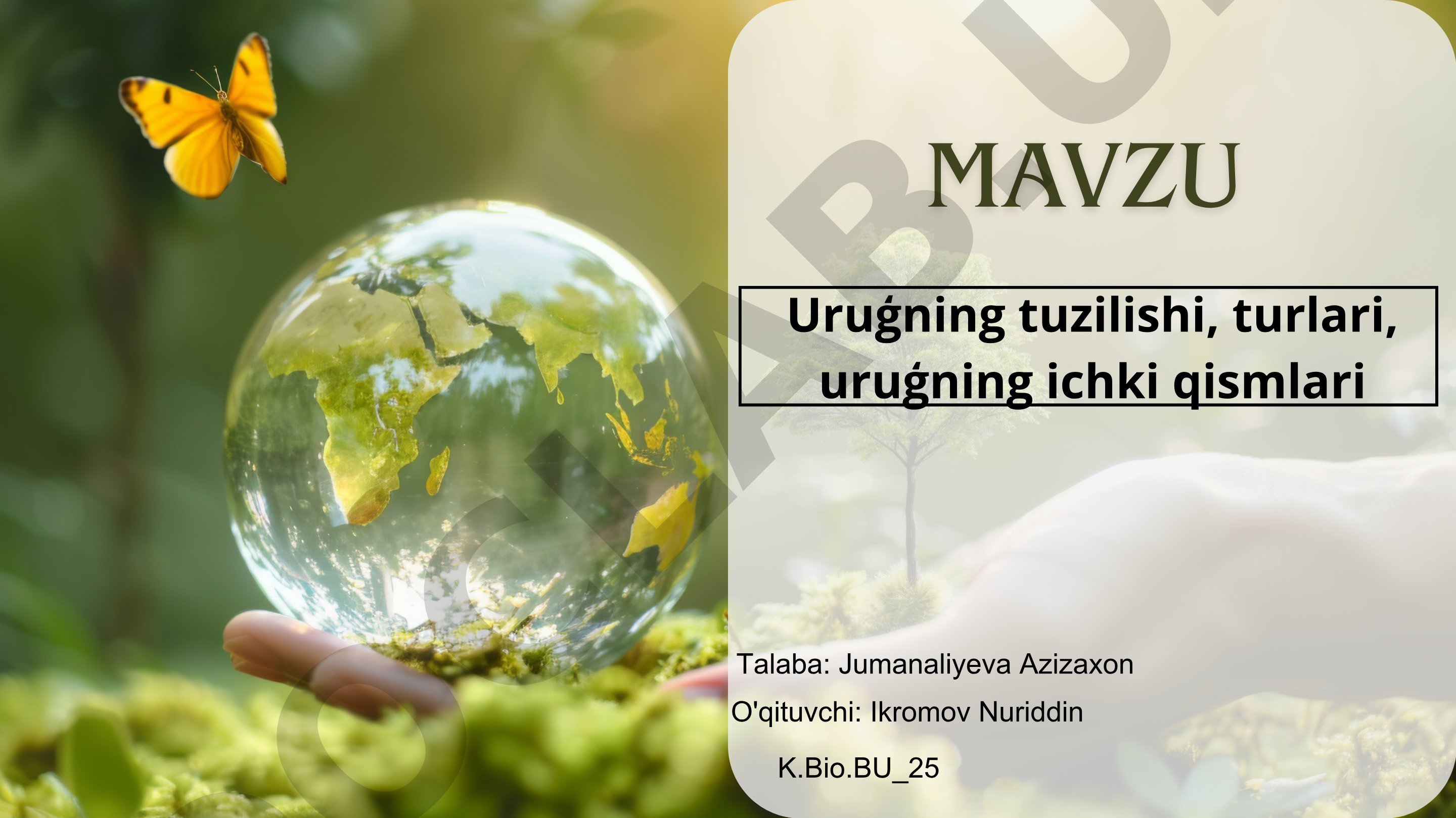 Urug' tuzilishi, turlari, urug'ning ichki qismlari