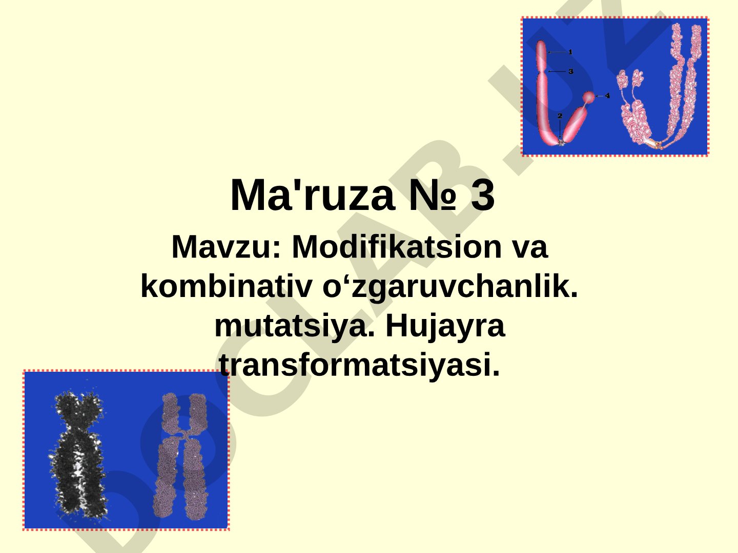Modifikatsion va kombinativ o‘zgaruvchanlik. mutatsiya. Hujayra transformatsiyasi.