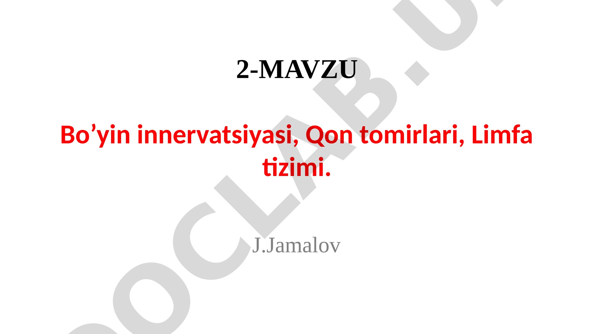 Bo'yin innervatsiyasi, qon tomirlari, limfa tizimi