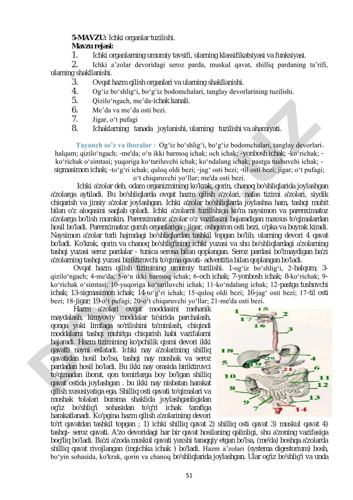 Ichki organlar tuzilishi