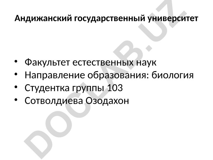 Первое спряжение глаголов в русском языке