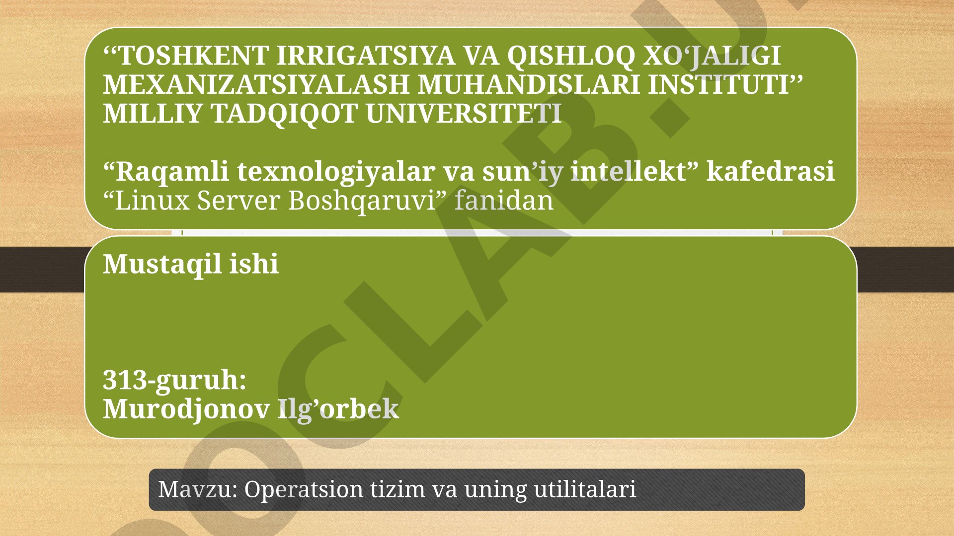 Operatsion tizim va uning utilitalari