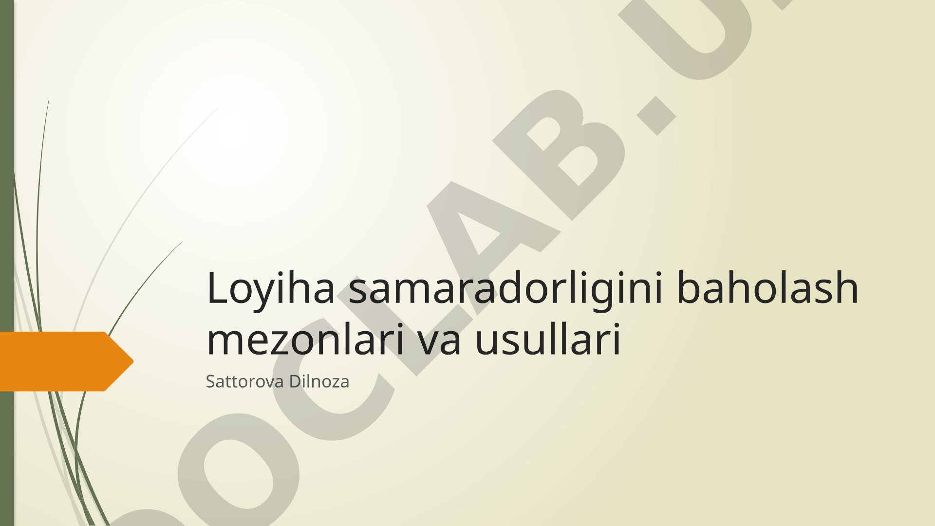 Loyiha samaradorligini baholash mezonlari va usullari