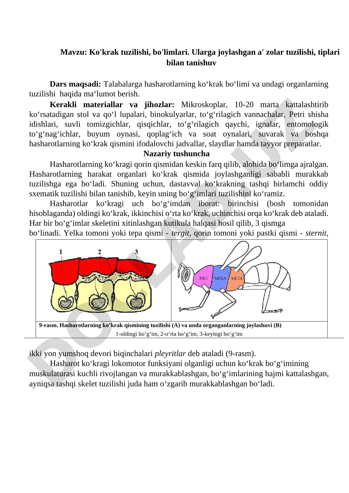 Ko'krak tuzilishi, bo'limlari. Ularga joylashgan a'zolar tuzilishi, tiplari bilan tanishuv