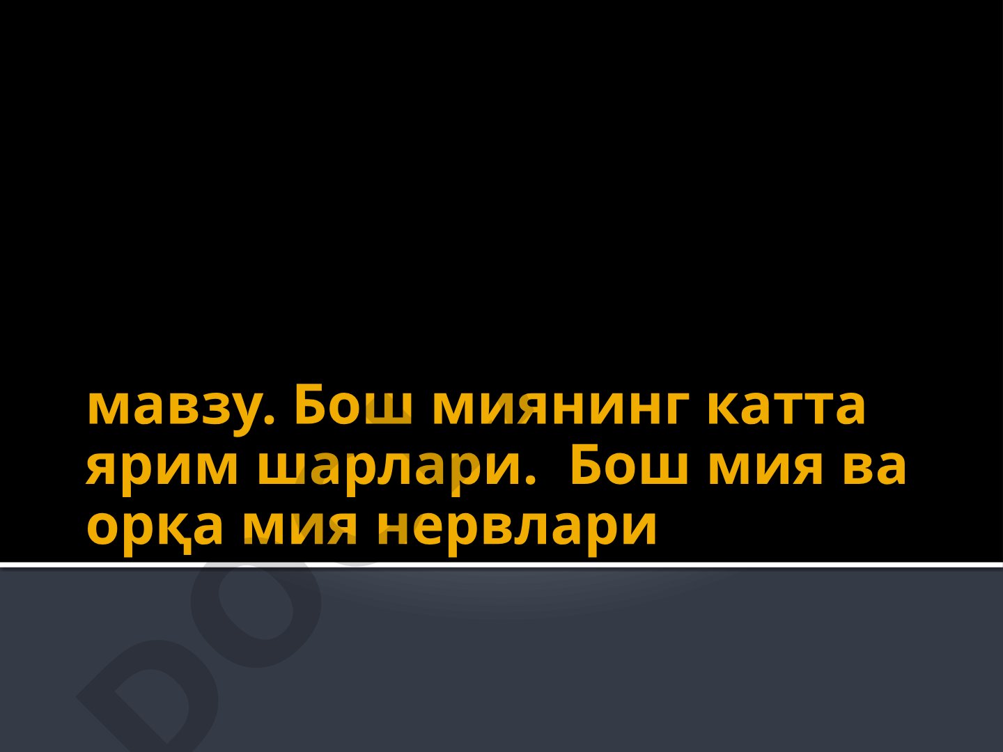 Бош миянинг катта ярим шарлари ва орқа мия нервлари