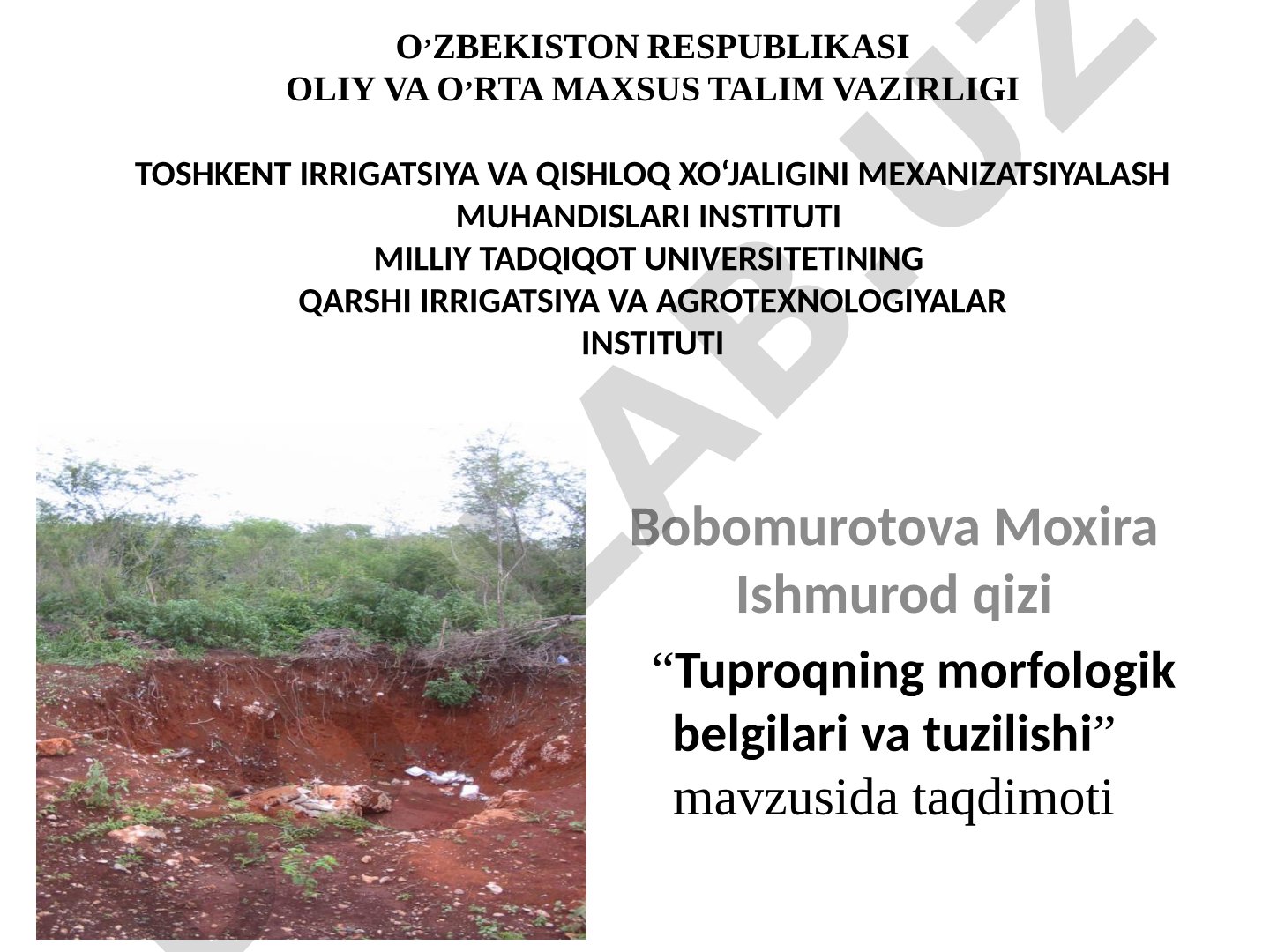 Tuproqning morfologik belgilari va tuzilishi