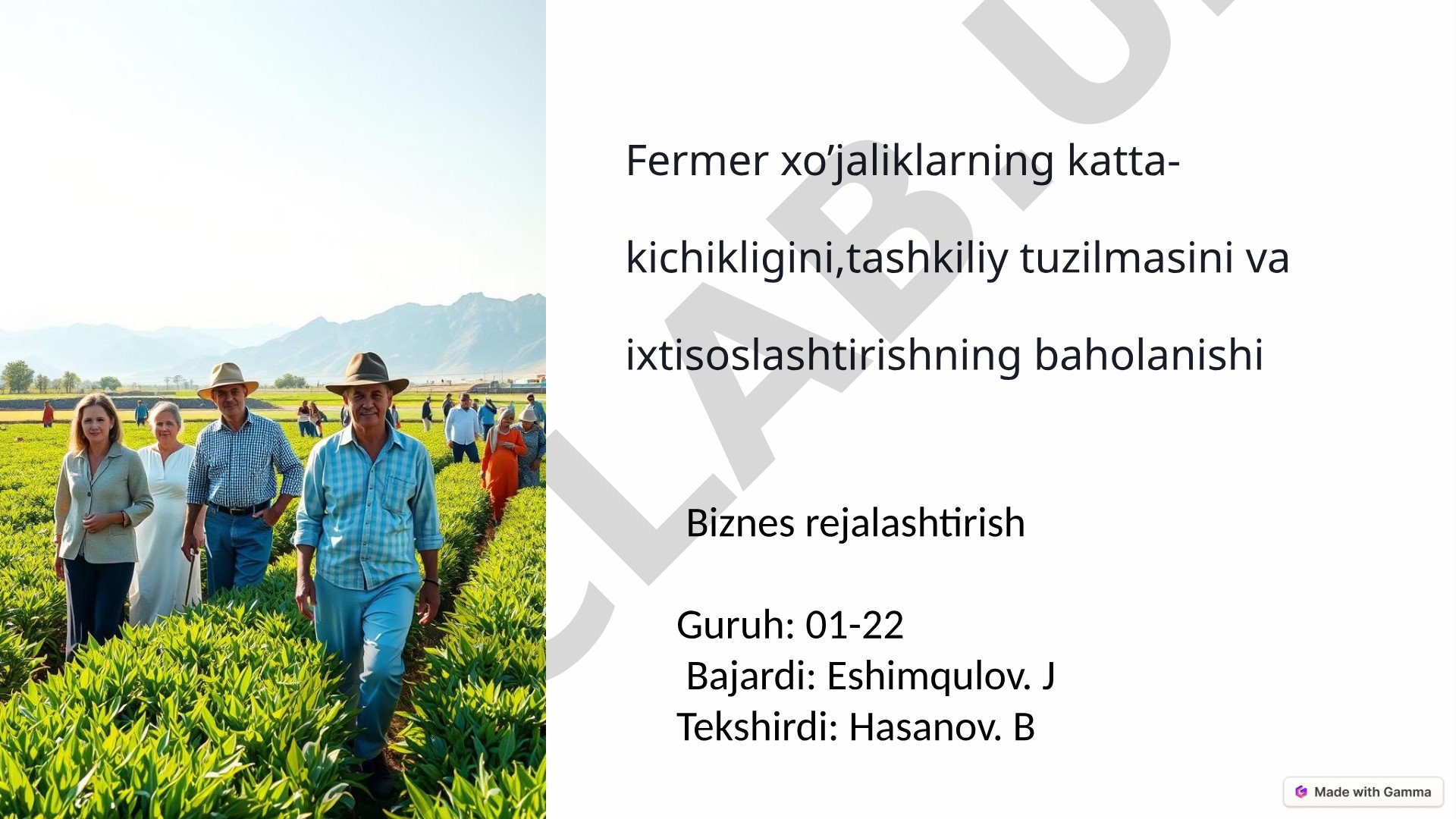 Fermer xo’jaliklarning katta-kichikligini,tashkiliy tuzilmasini va ixtisoslashtirishning baholanishi