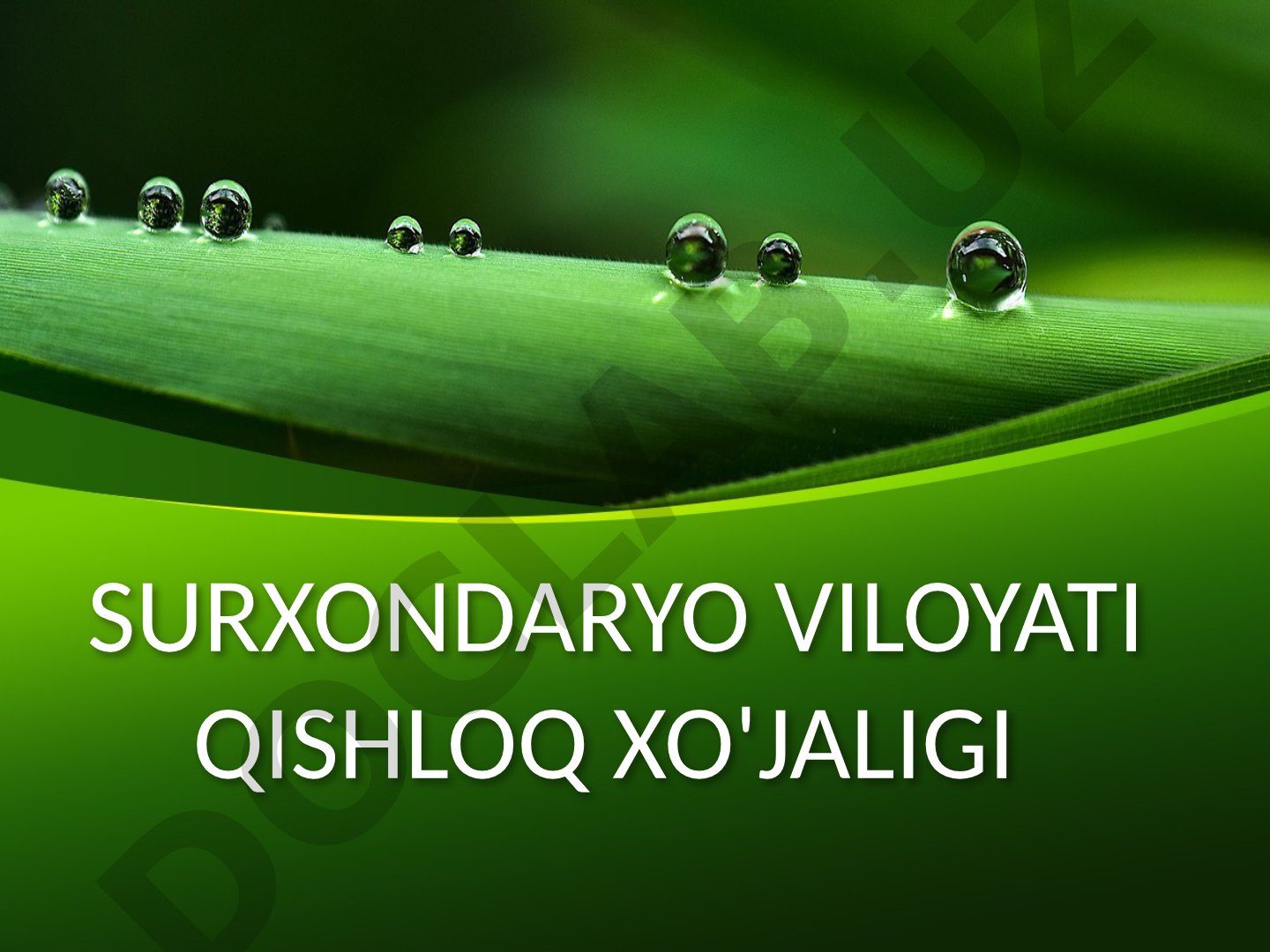 Surxondaryo viloyati qishloq xo'jaligi