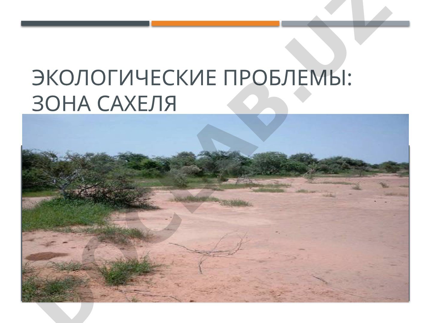 Экологические проблемы: зона Сахеля