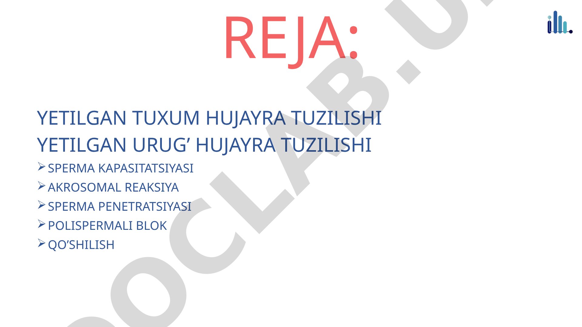 Yetilgan tuxum hujayra va urug' hujayra tuzilishi hamda urug'lanish jarayoni