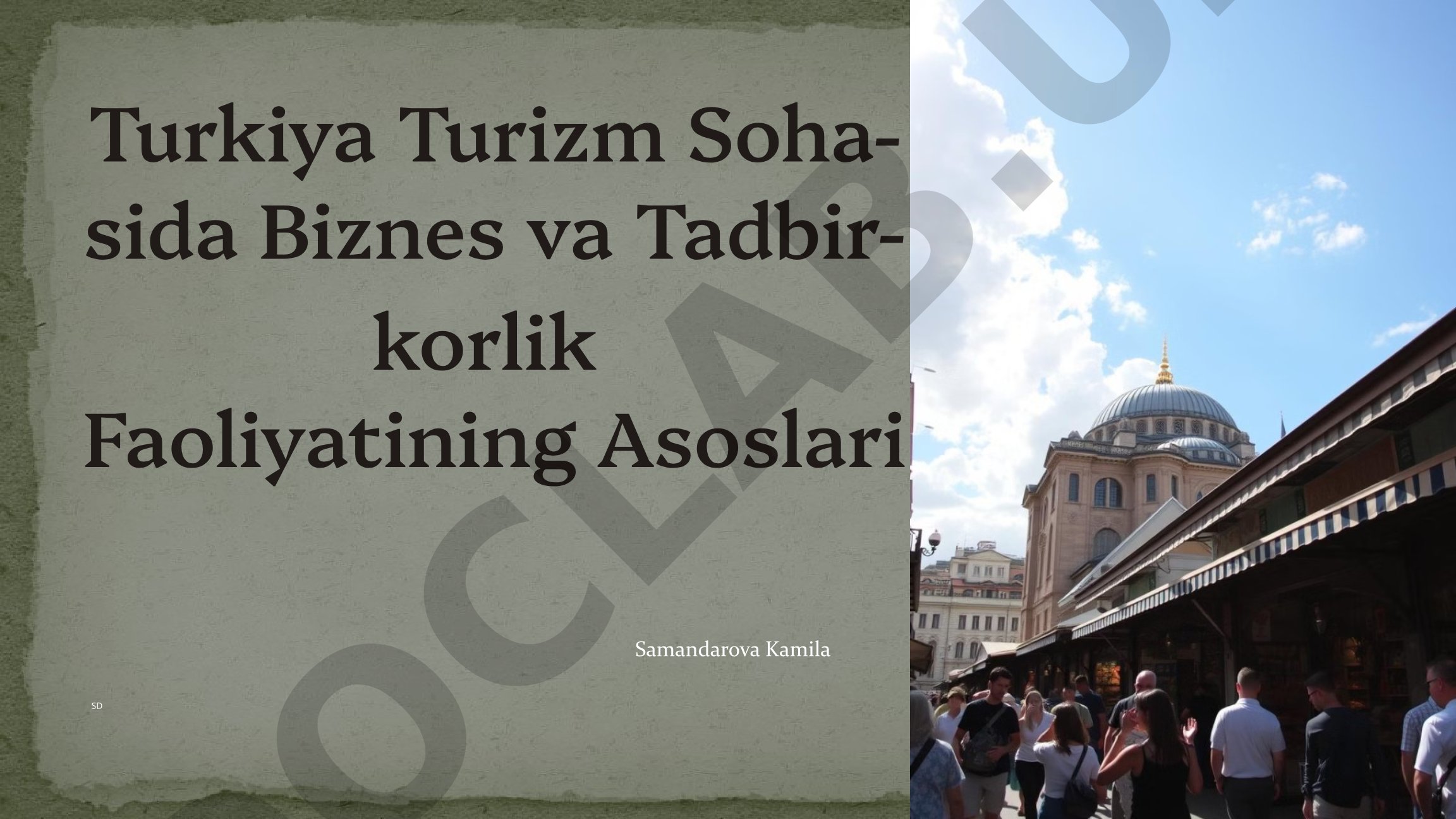 Turkiya Turizm Sohasida Biznes va Tadbirkorlik Faoliyatining Asoslari