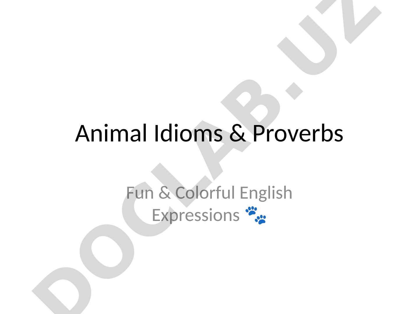 Animal Idioms & Proverbs Fun & Colorful English Expressions