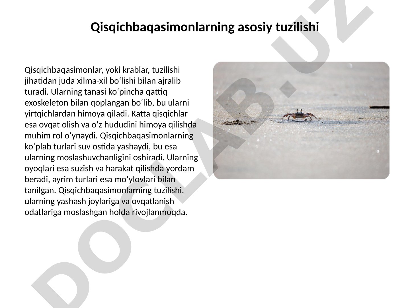 Qisqichbaqasimonlarning tuzilishi va evolyutsion tarixi