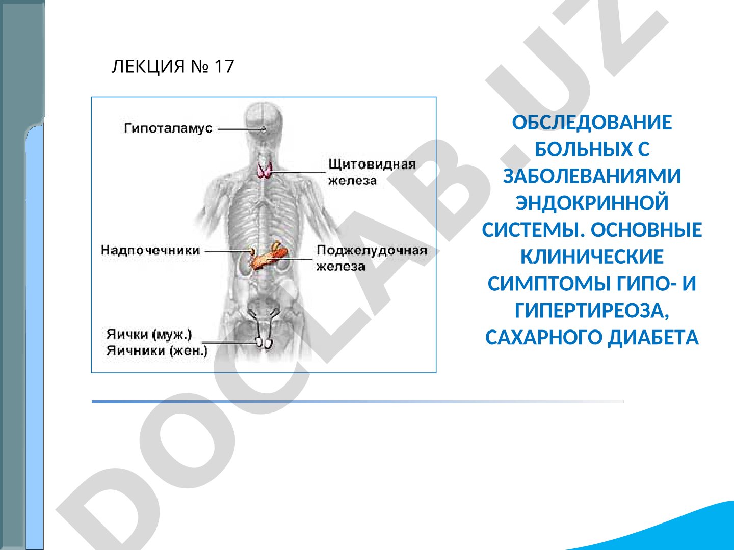 Обследование больных с заболеваниями эндокринной системы. Основные клинические симптомы гипо- и гипертиреоза, сахарного диабета