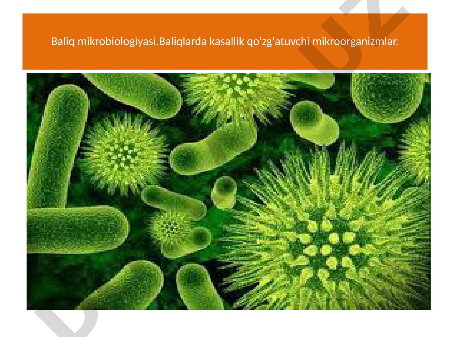 Baliq mikrobiologiyasi va ixtiopatologiya