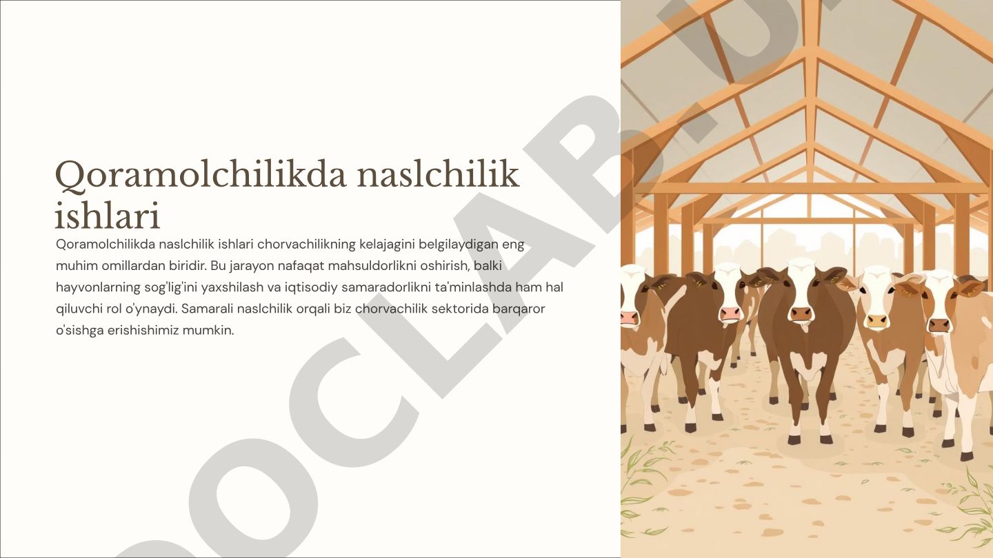 Qoramolchilikda naslchilik ishlari