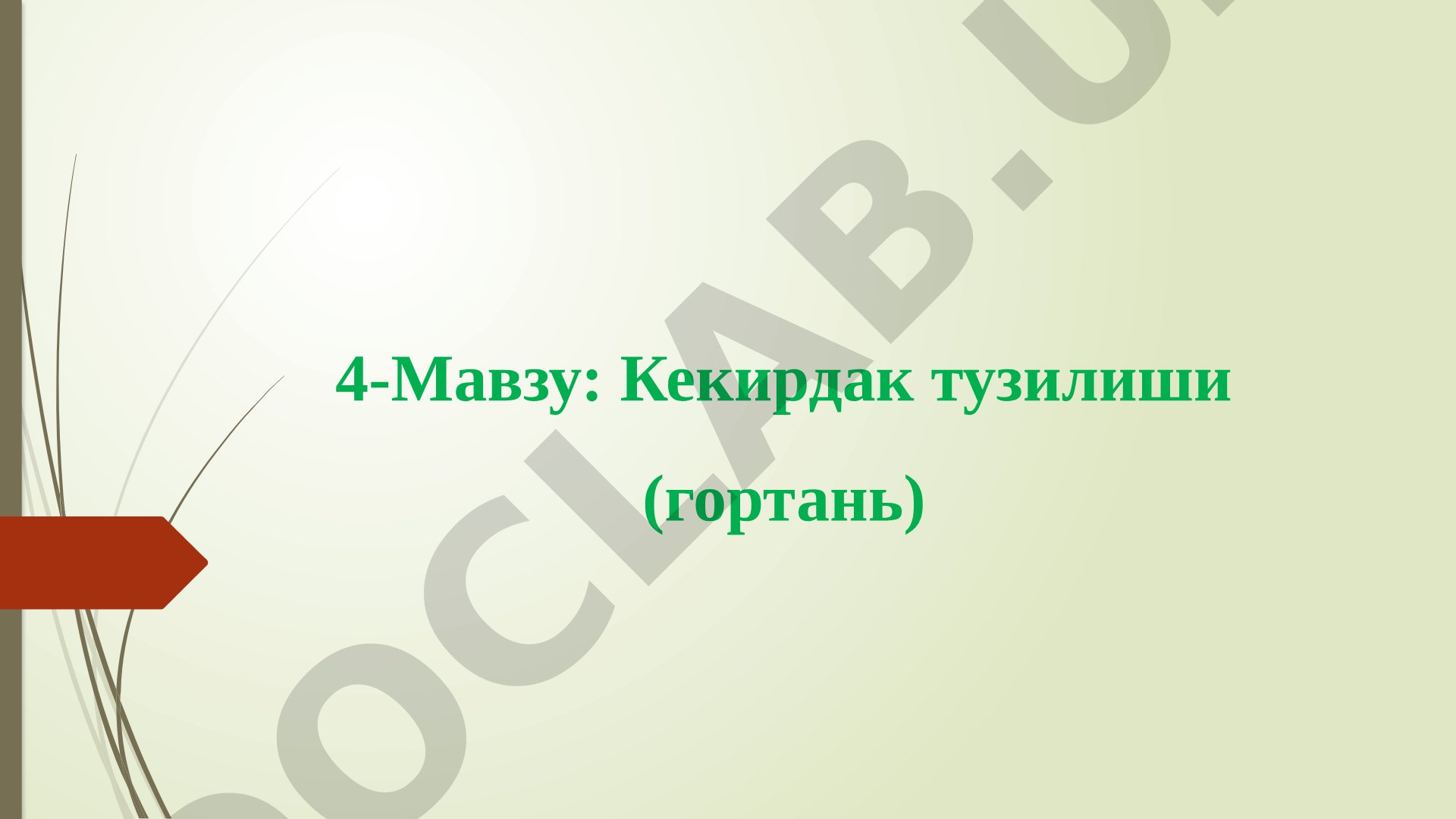 Кекирдак тоғайлари, овоз пардалари ва уларнинг функциялари ҳақида маълумот