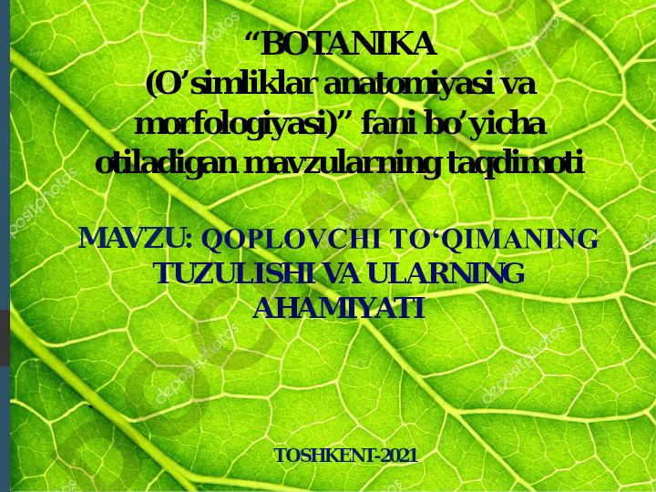 Qoplovchi to'qimalarning tuzilishi va ularning ahamiyati