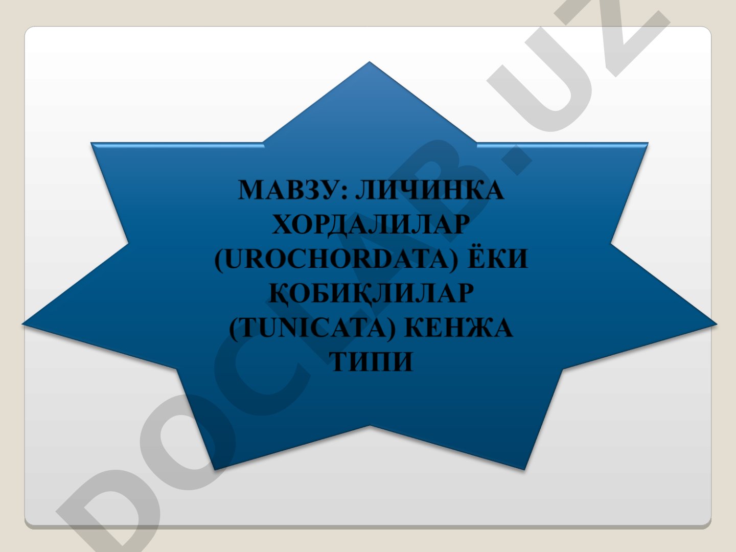 Lichinka xordalilar (Urochordata) va asciidiyalar sinfi
