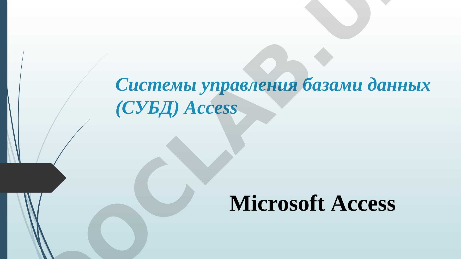 Системы управления базами данных (СУБД) Access Microsoft Access
