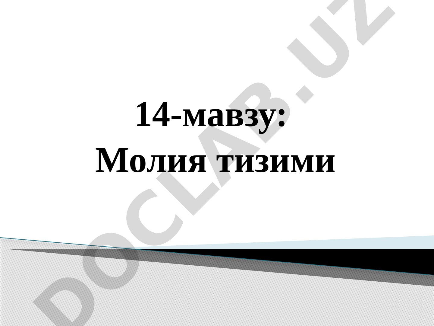 Молия тизими