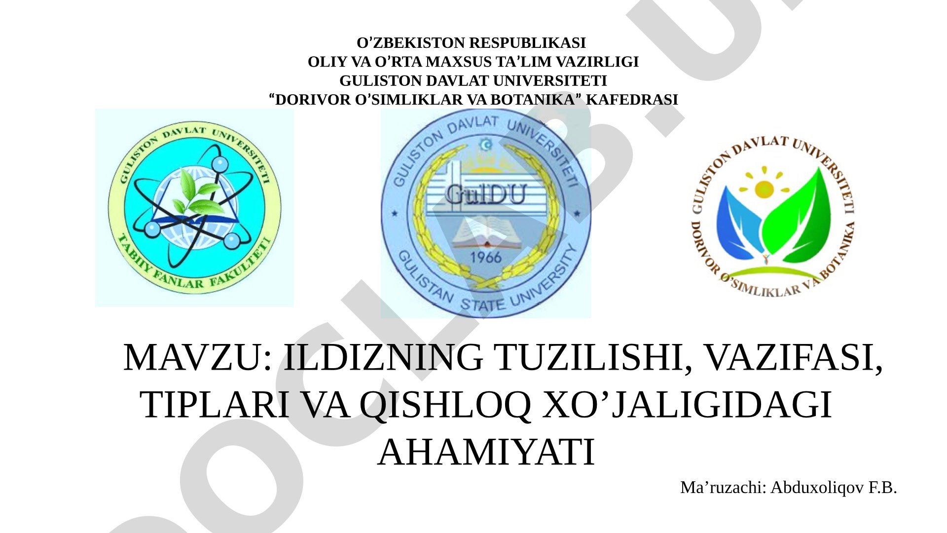 Ildizning tuzilishi, vazifasi, tiplari va qishloq xo'jaligidagi ahamiyati