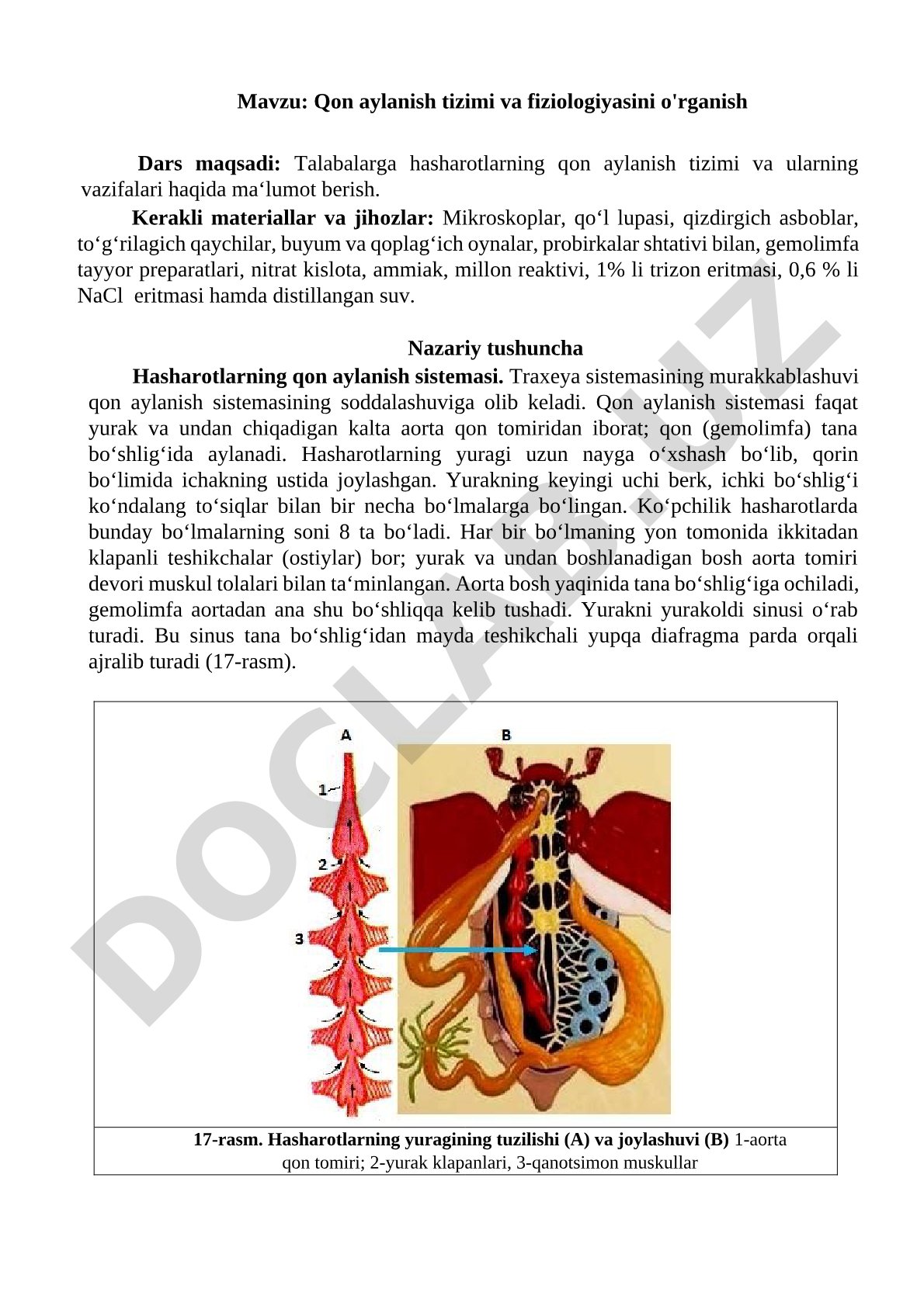 Qon aylanish tizimi va fiziologiyasini o'rganish
