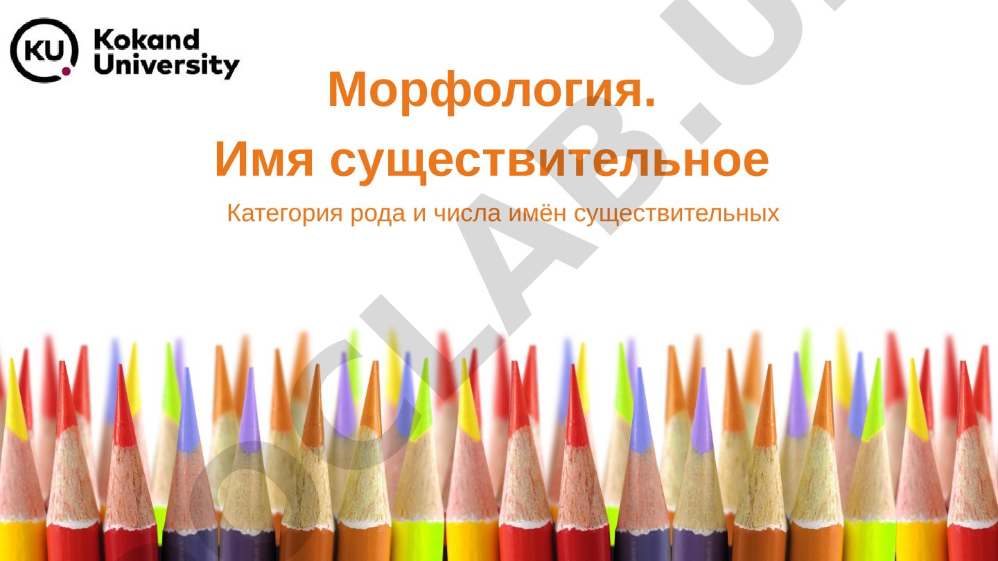 Морфология. Имя существительное. Категория рода и числа имён существительных