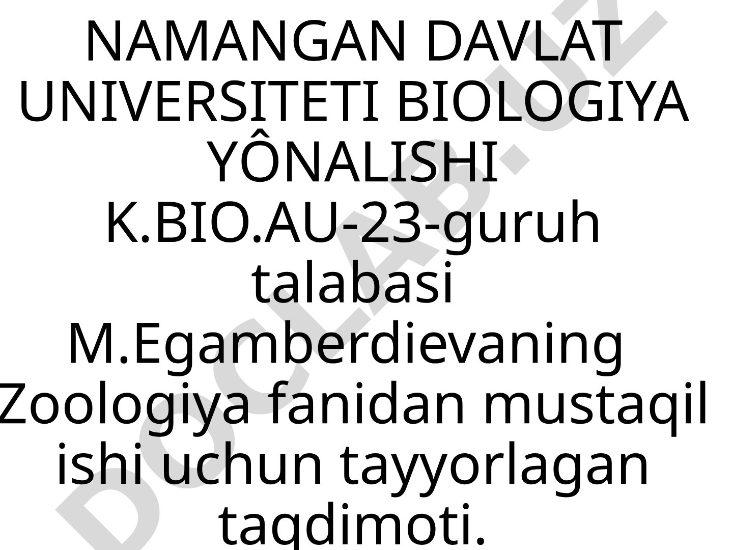 Hashorotlar sinfi