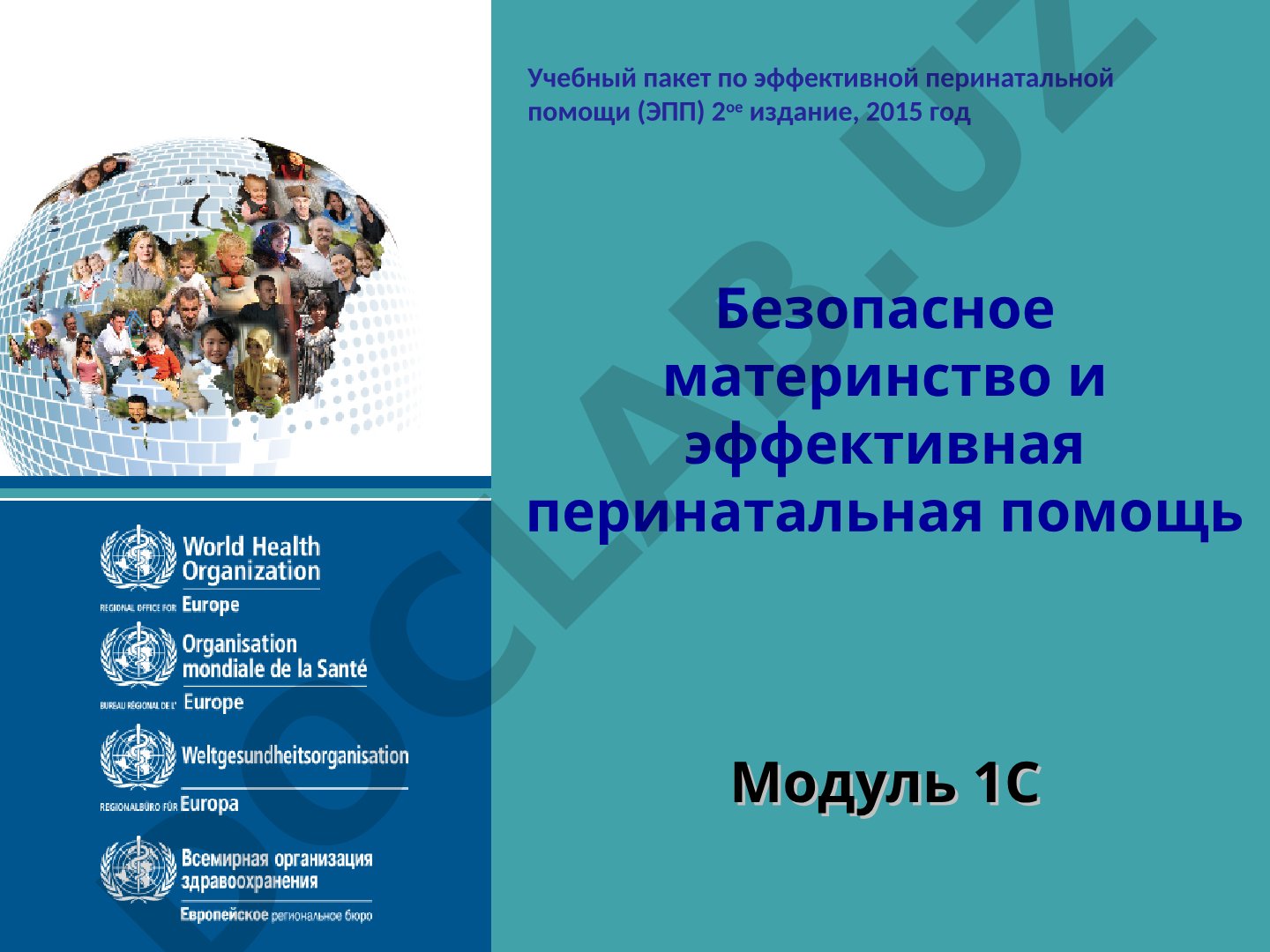 Безопасное материнство и эффективная перинатальная помощь