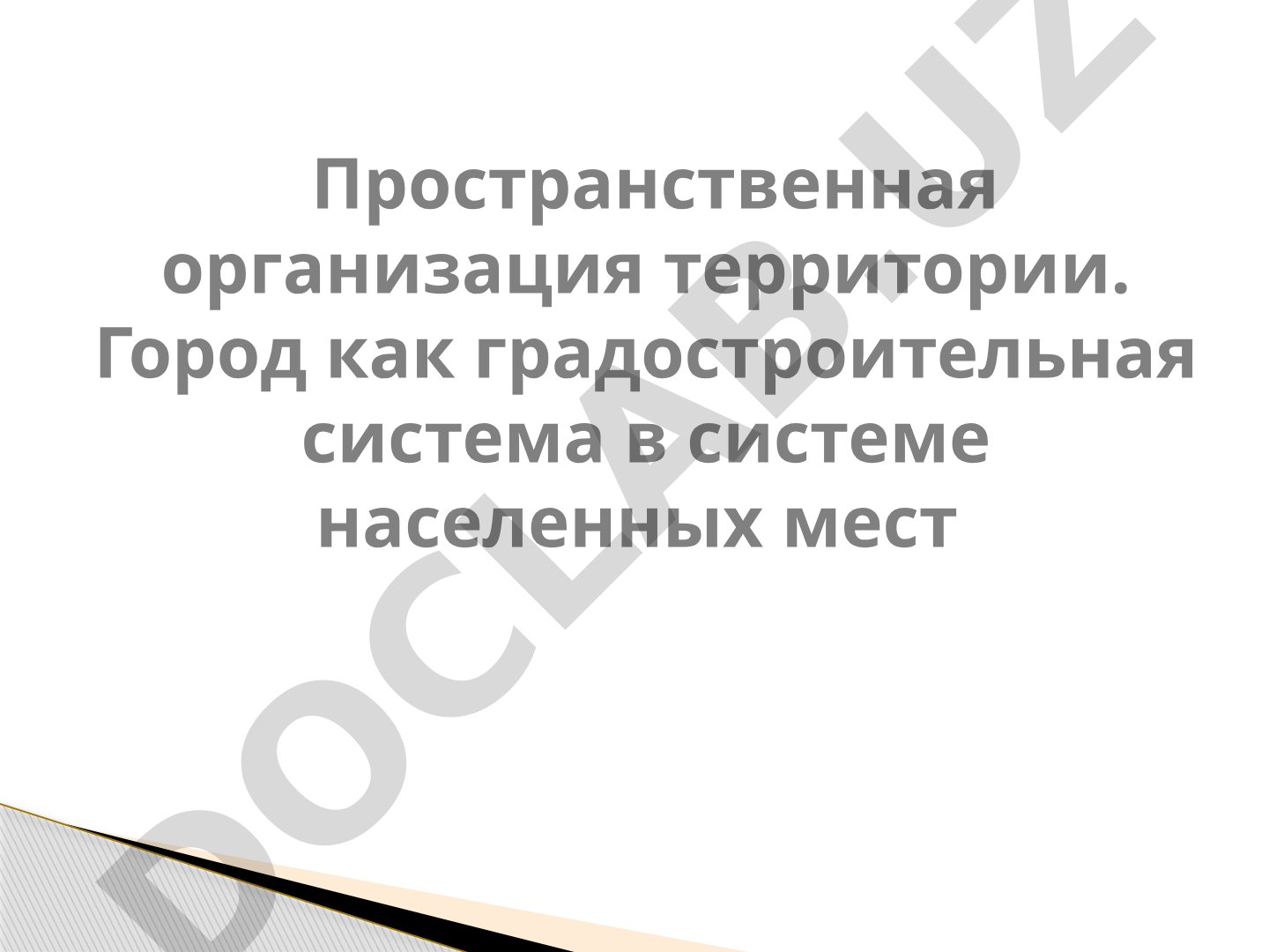 Пространственная организация территории и расселение
