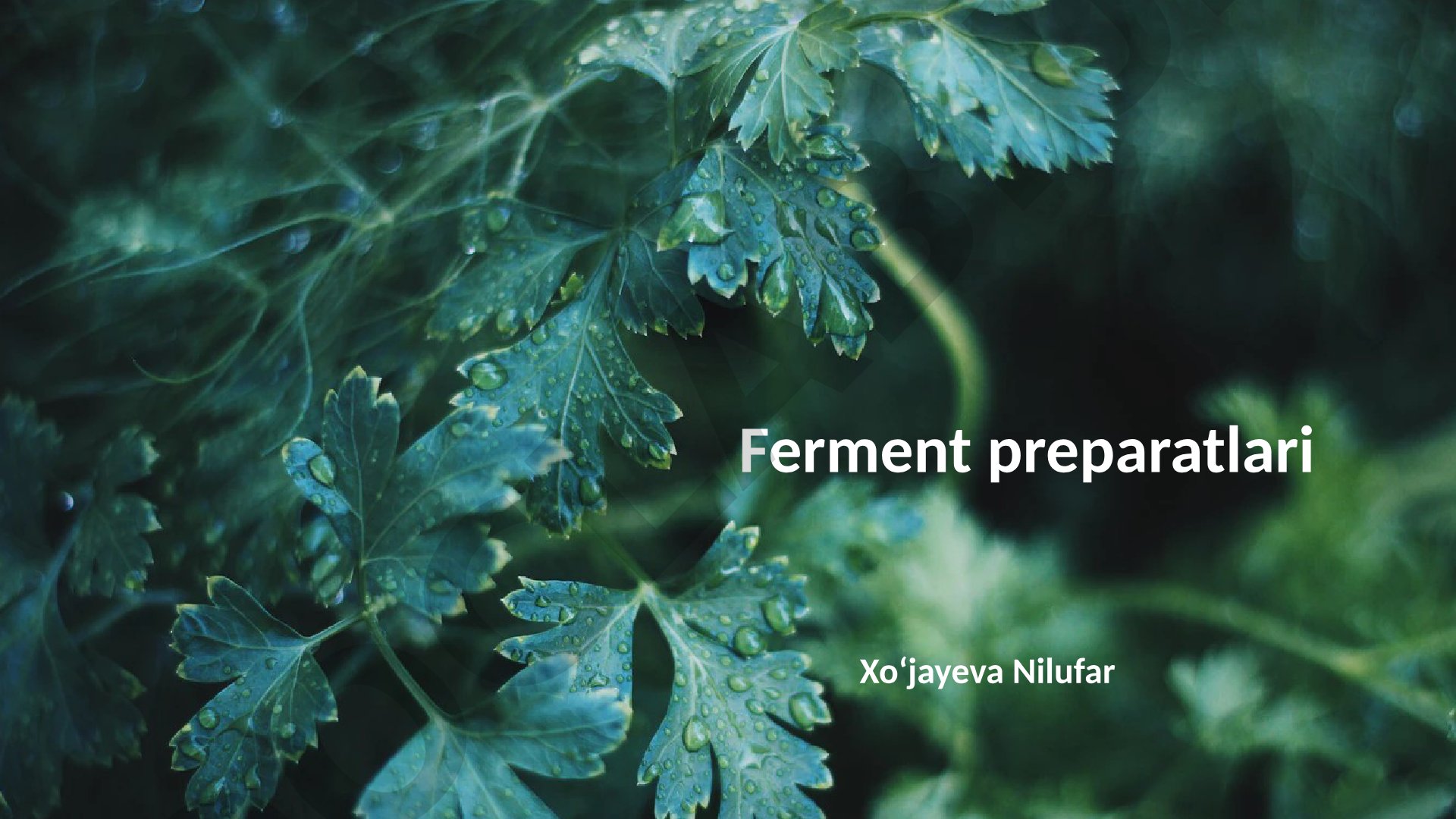 Fermentlar va ferment preparatlarini olish hamda qo'llanilish sohalari haqida taqdimot