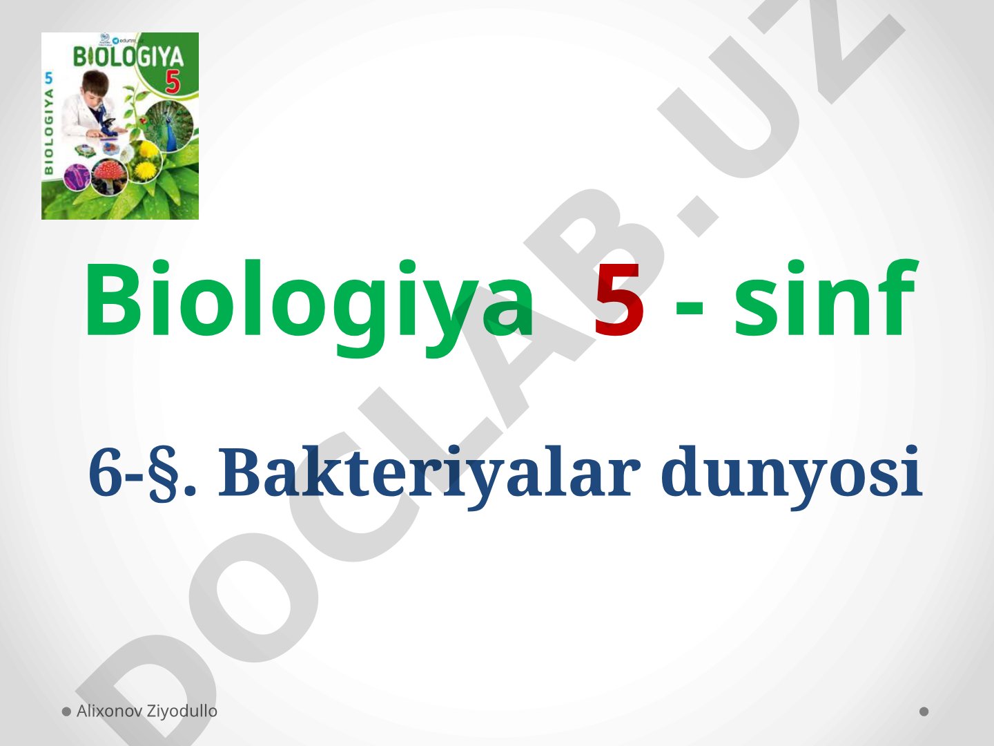 Bakteriyalar dunyosi