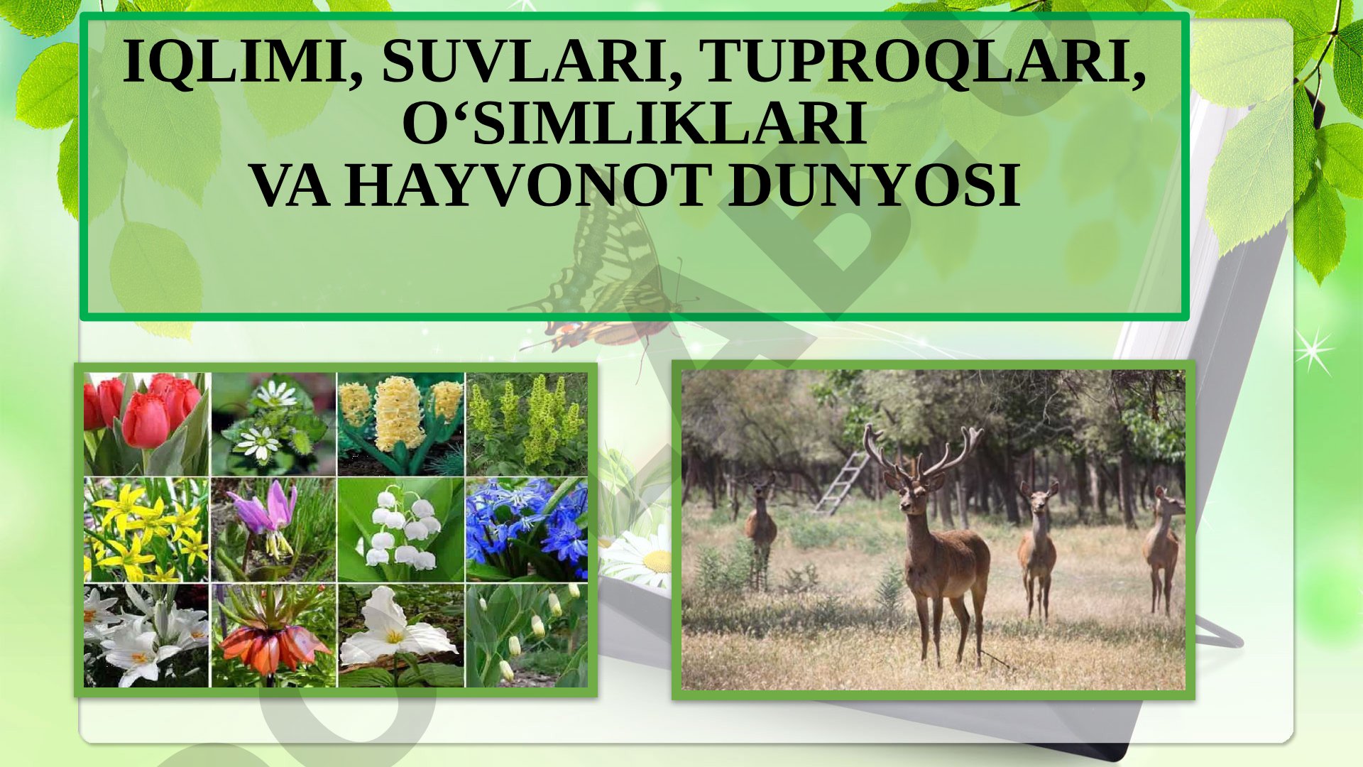 Quyi Zarafshon okrugining iqlimi, suvlari, tuproqlari, o'simliklari va hayvonot dunyosi