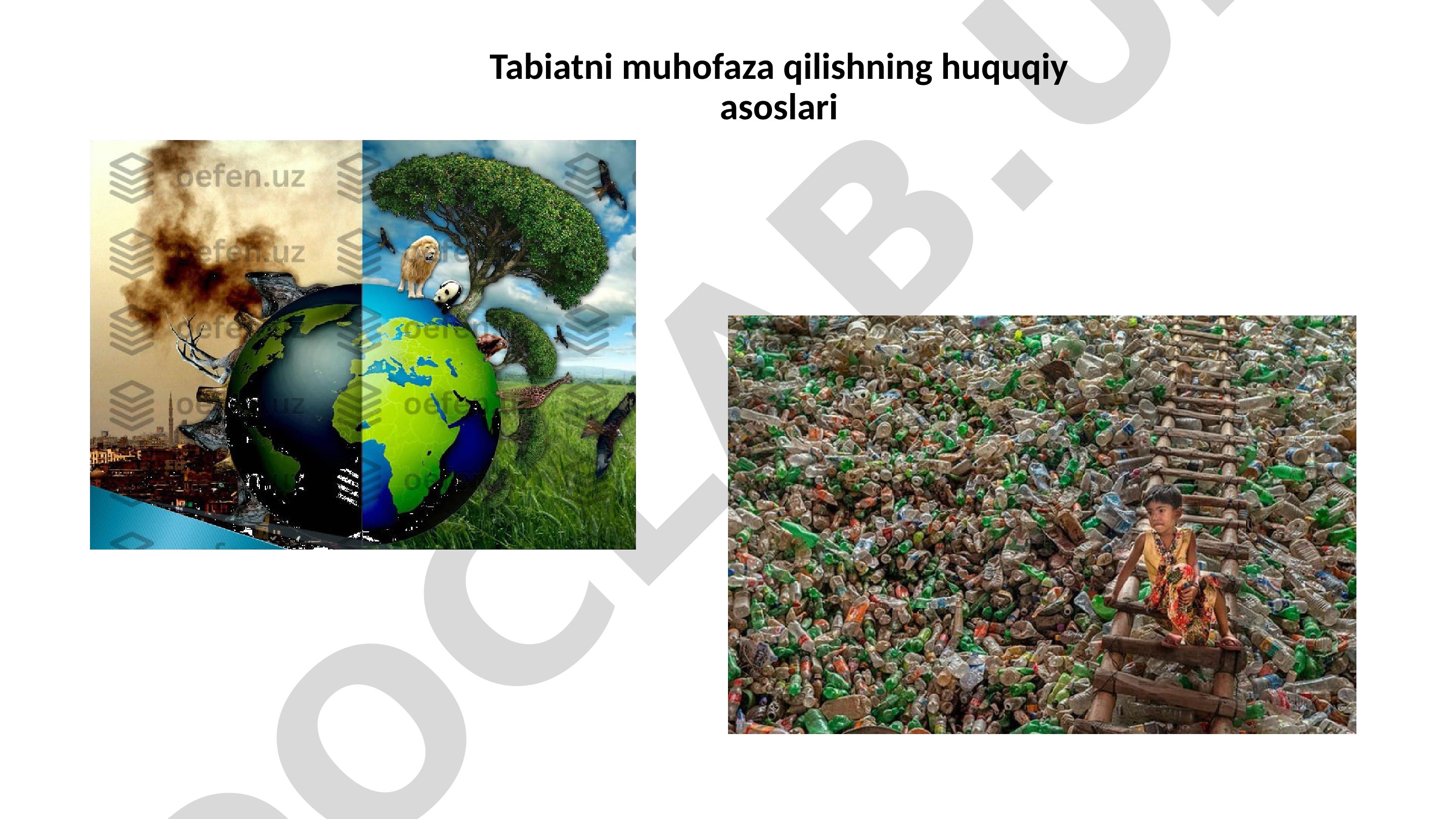 Ekologik huquqbuzarliklar va ekologik nazorat turlari