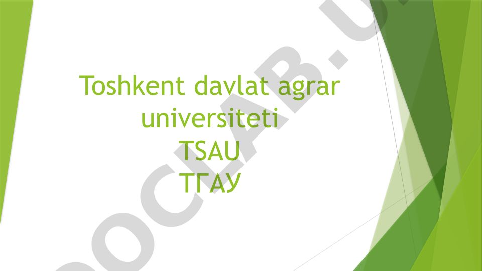 Toshkent davlat agrar universiteti tarixi va rivojlanishi