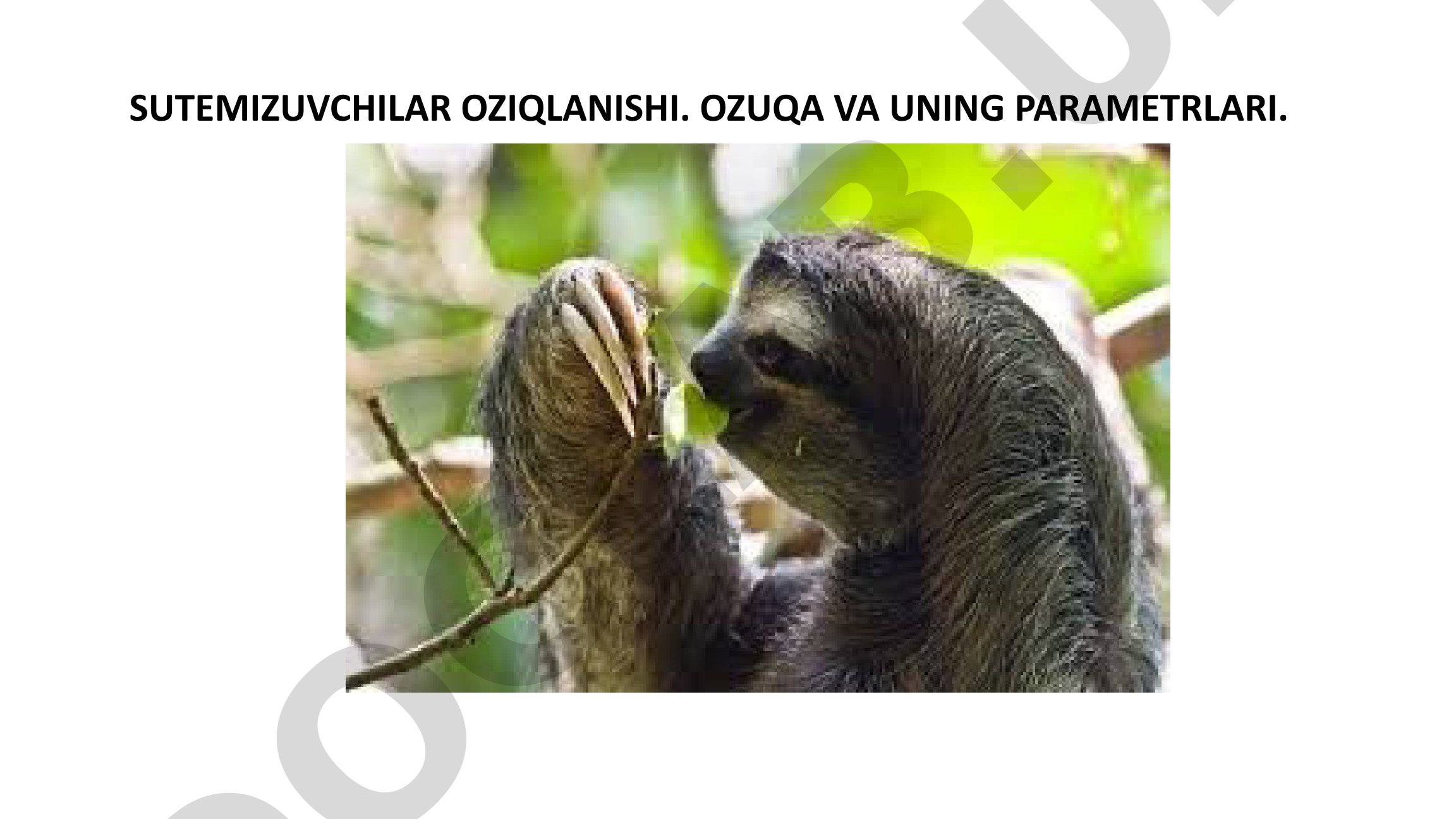Sutemizuvchilar oziqlanishi: ozuqa va uning parametrlari