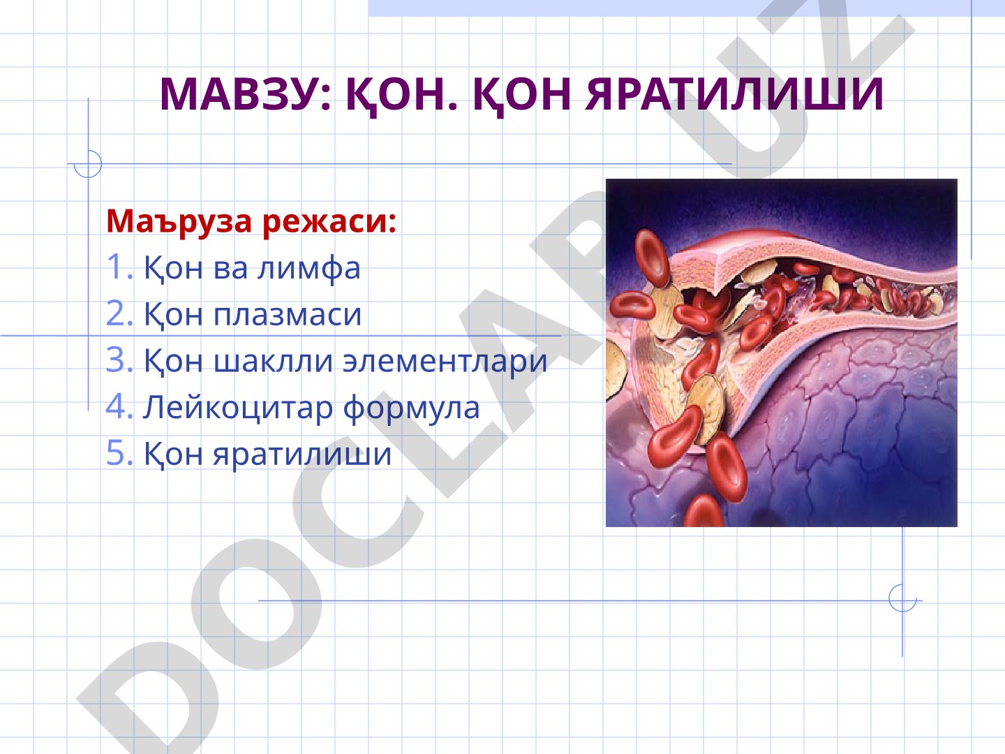 Қон. Қон яратилиши