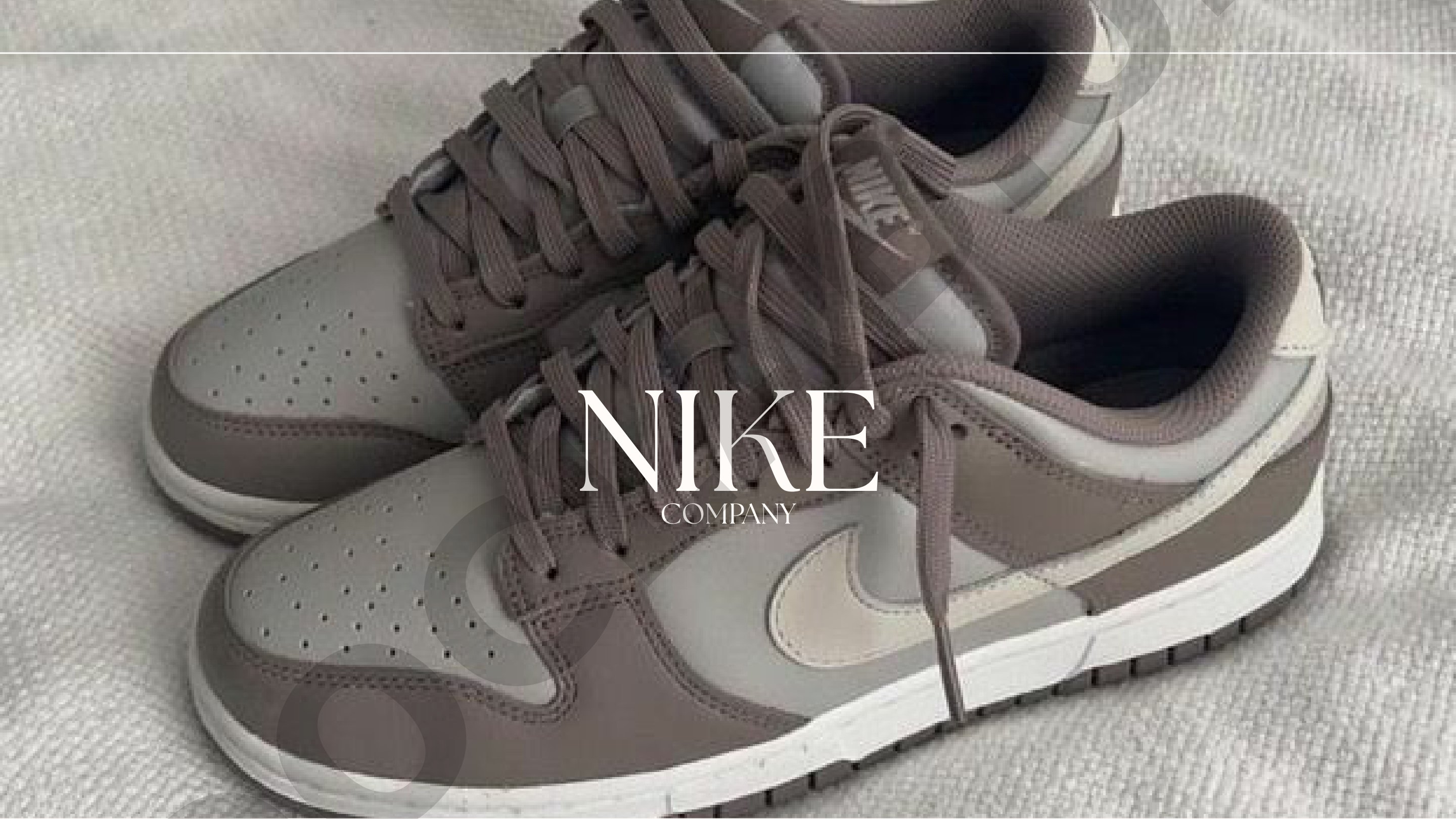 Nike kompaniyasi tarixi, moliyaviy hisobotlari va ko'rsatkichlari tahlili haqida taqdimot