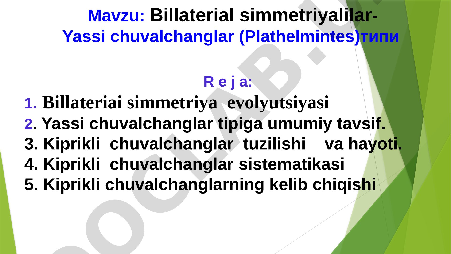 Billaterial simmetriyalilar- Yassi chuvalchanglar (Plathelmintes)типи